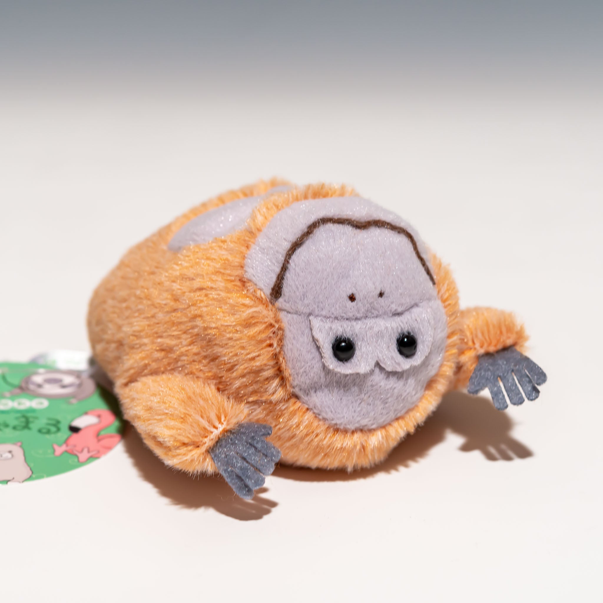 ND-40465-1_2048x2048_554d0521-