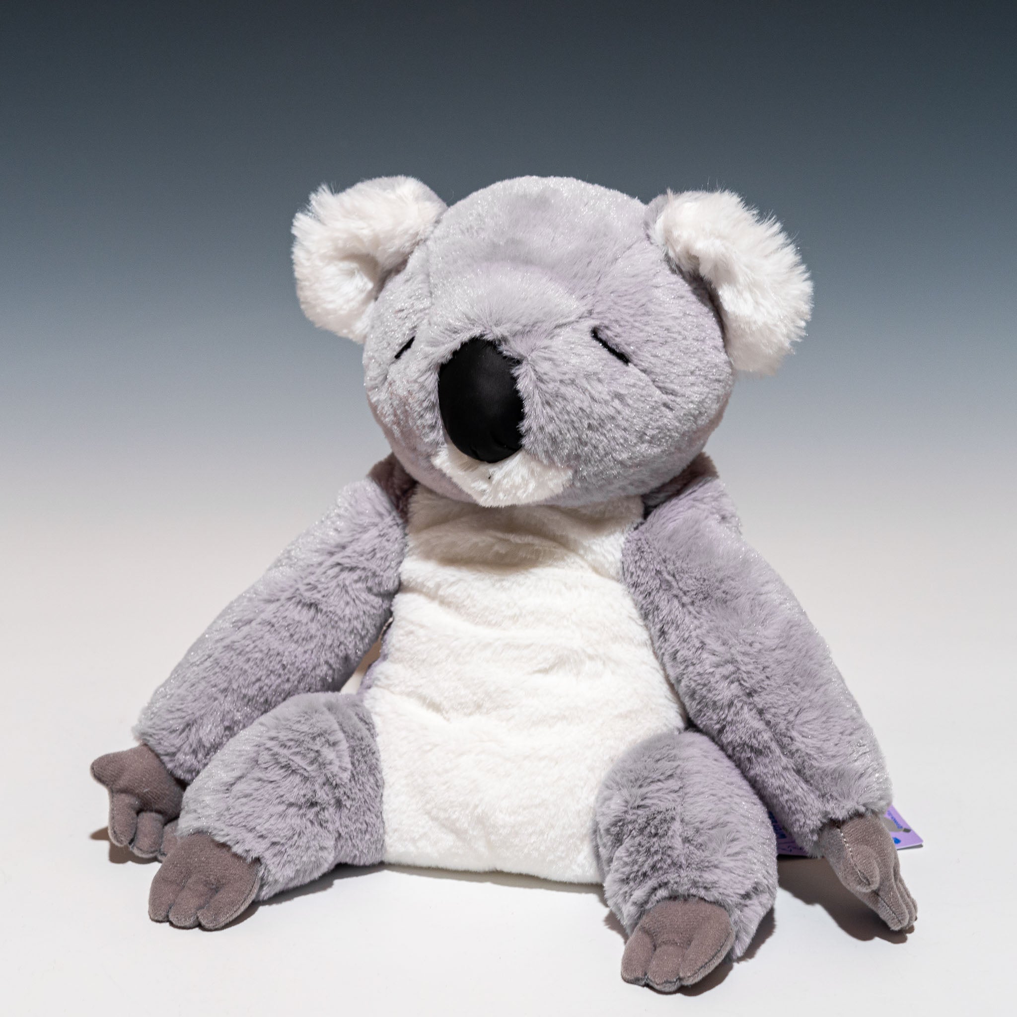 シナダ SHINADA ぬいぐるみ うぃずず コアラ WZZK-0350 - エステルノ