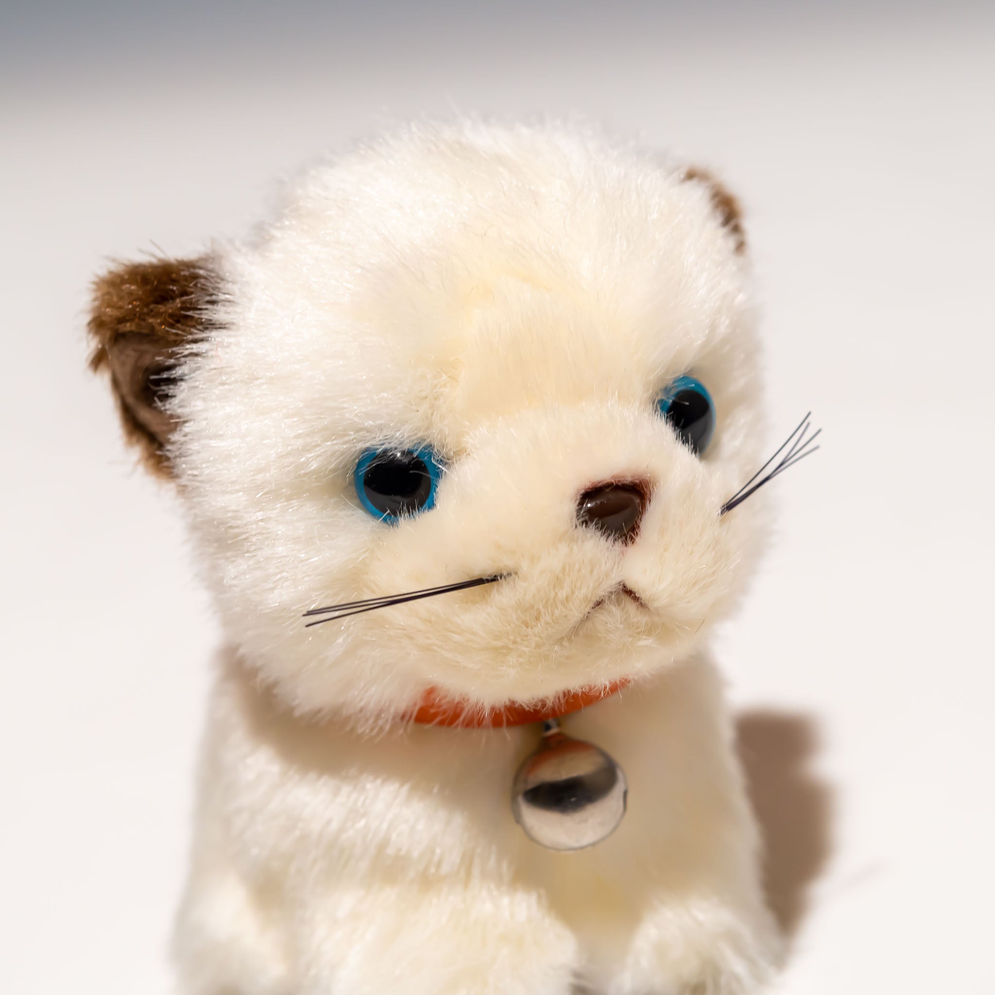 たけのこ TAKENOKO ぬいぐるみ キャンディシェリー シャムネコ 48214