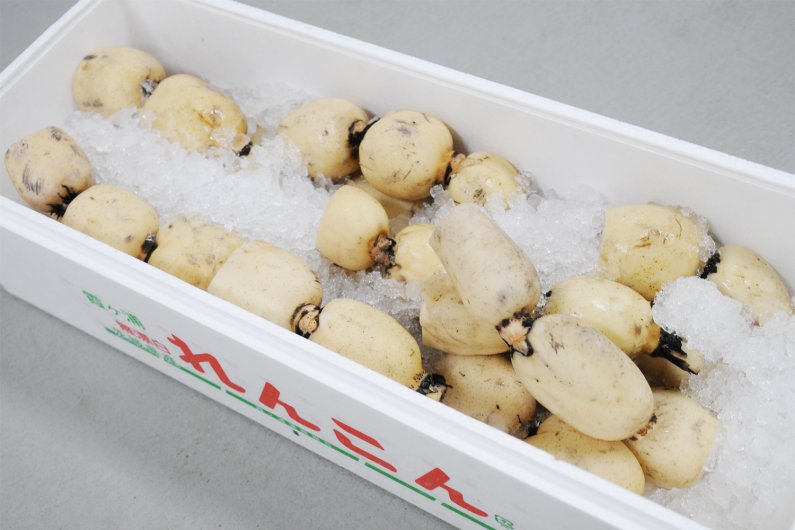 れんこん | 製品情報 | IBARAKI EXPORTS - Selection of Japanese Foods -