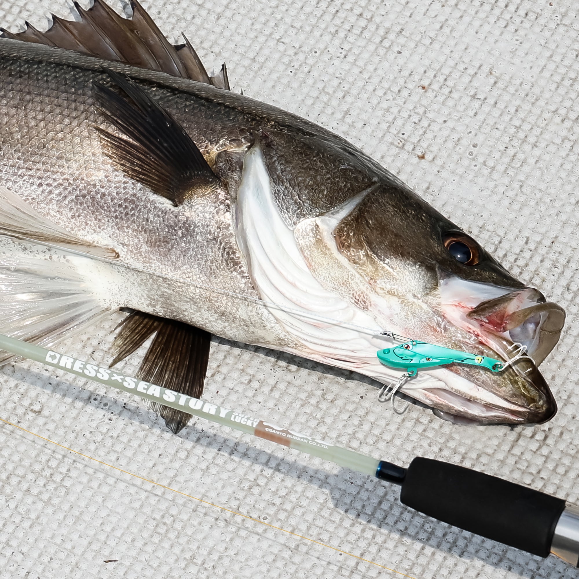 DRESS×海物語 開運ドレパンルアー