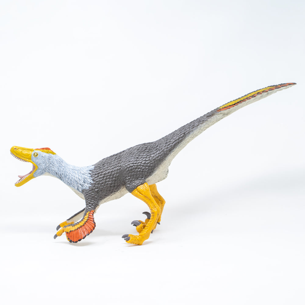 Favorite｜ヴェロキラプトル ビニールモデル｜愛嬌とリアルな雰囲気が