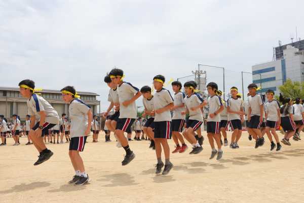 令和6年度 体育大会 – 大阪教育大学附属天王寺中学校