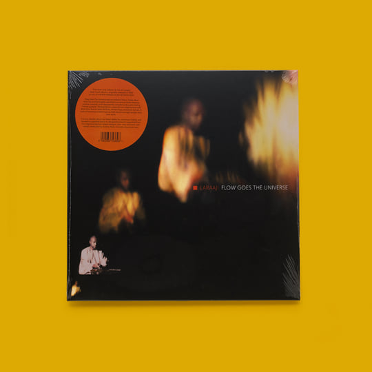 Flow Goes The Universe | Laraaji