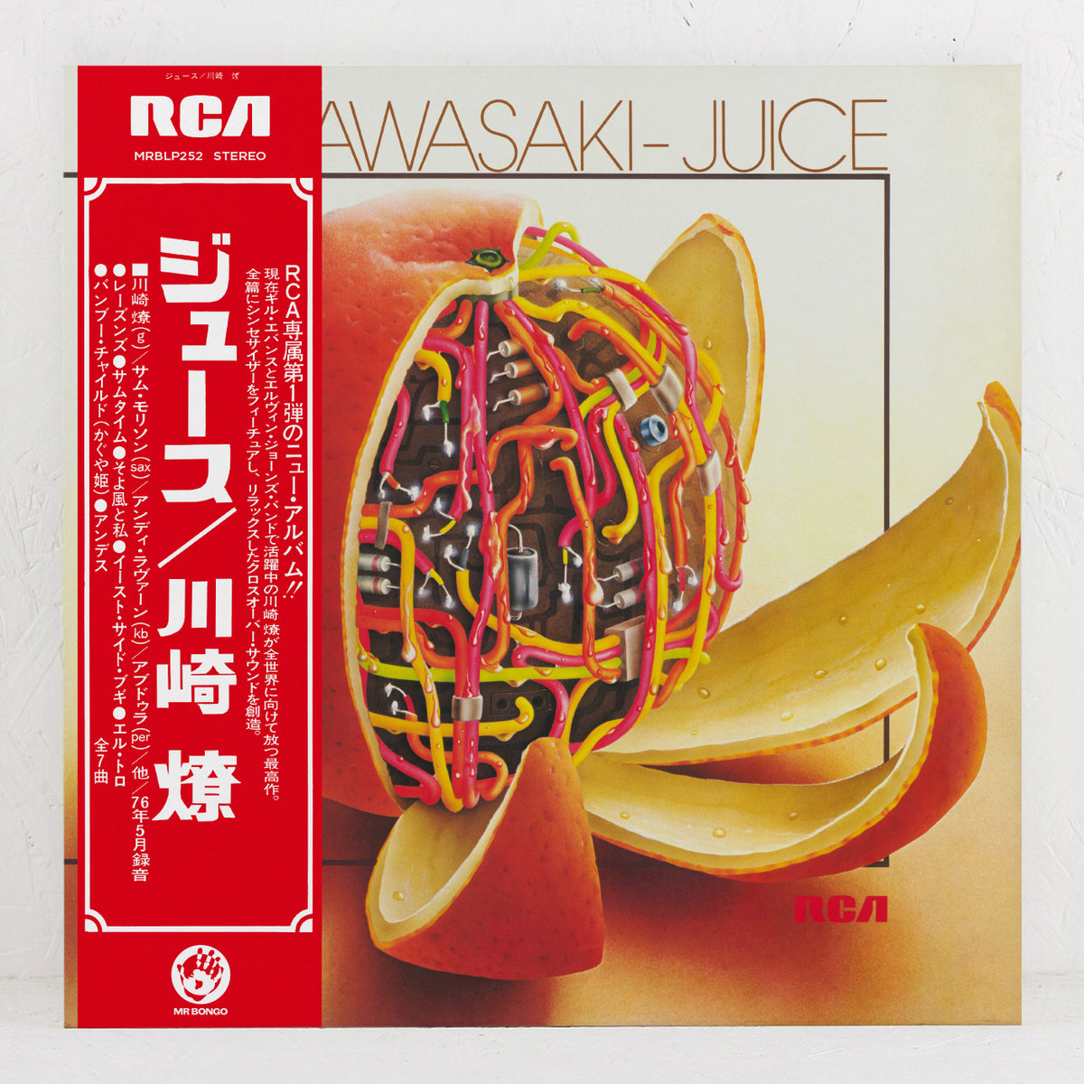Juice | Ryo Kawasaki | MR BONGO