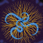 Folk And Pop Music Of Myanmar (Burma) Vol. 3: Music Of Nat Pwe