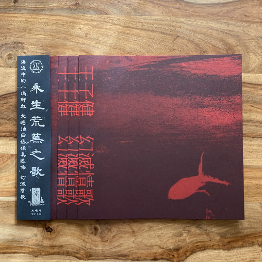 幻滅情歌Love Songs in Disillusion | 王子健Wang Zijian | WV