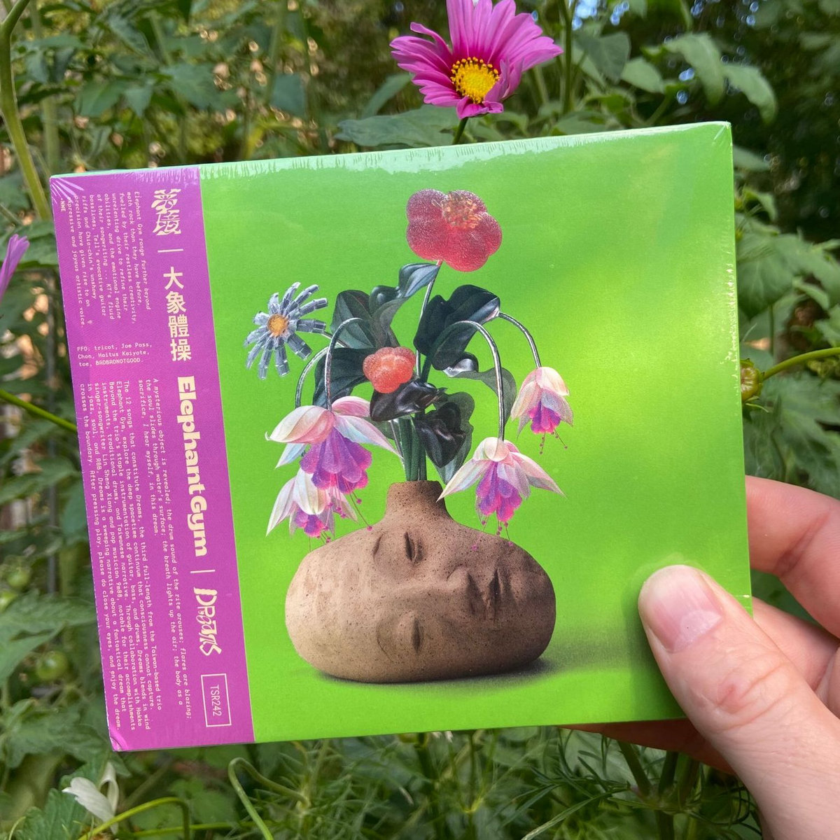 Gaze at Blue (Album Version) | Elephant Gym