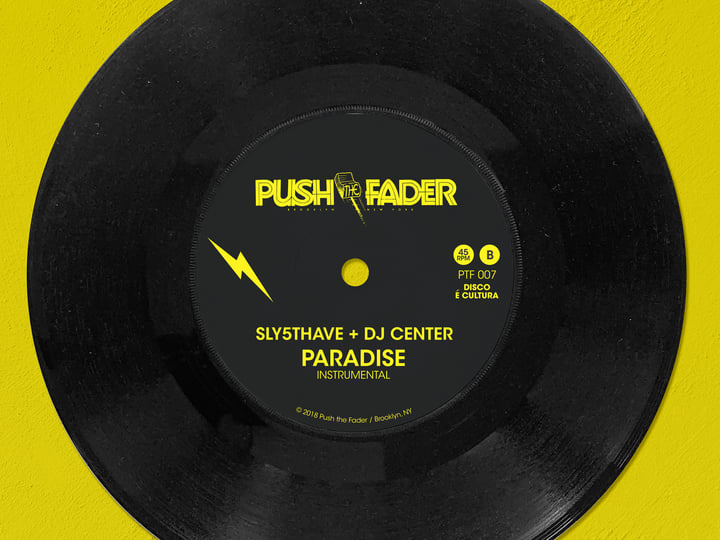 Paradise (feat. Thalma de Freitas) | DJ Center & Sly5thAve | Push