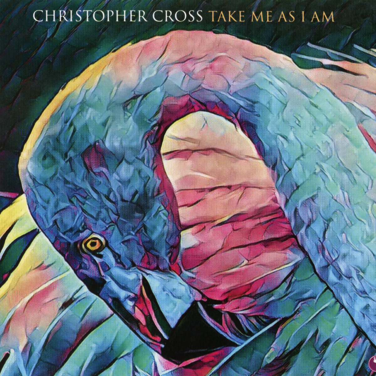 Take Me As I Am | Christopher Cross