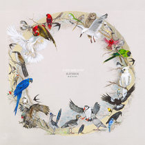 Tempalay テンパレイ summer time summer time Stream summer time by