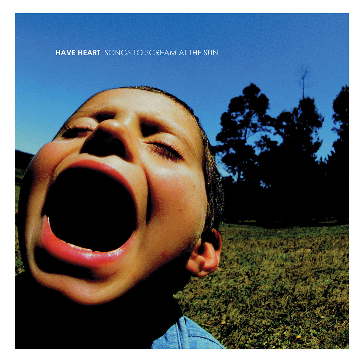 Songs to Scream at the Sun | Have Heart | Bridge Nine Records