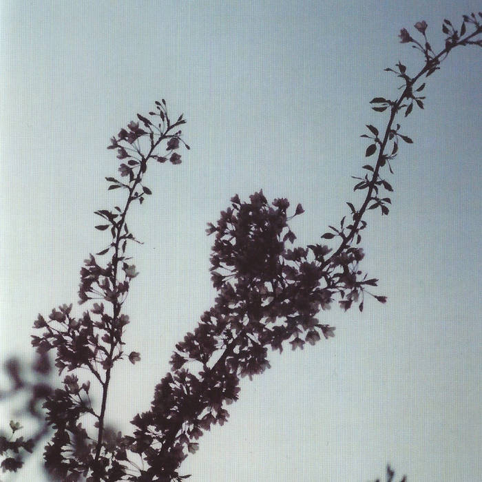 Album (2003) | Mokira | Repeatle