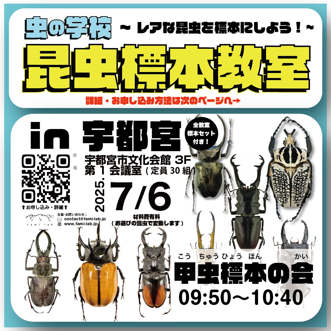 予約受付中】 昆虫教室 in 宇都宮（ 7/6 日曜日 ) - Fami-lab