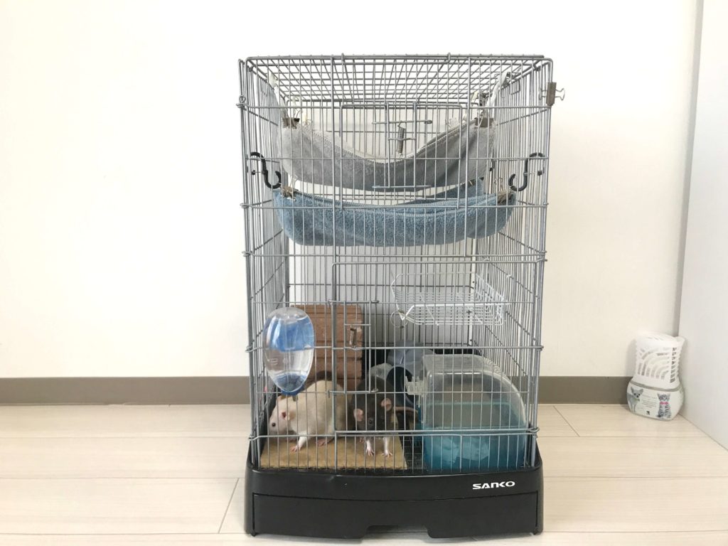 徹底レビュー】イージーホーム40ハイBK｜小動物おすすめのケージ