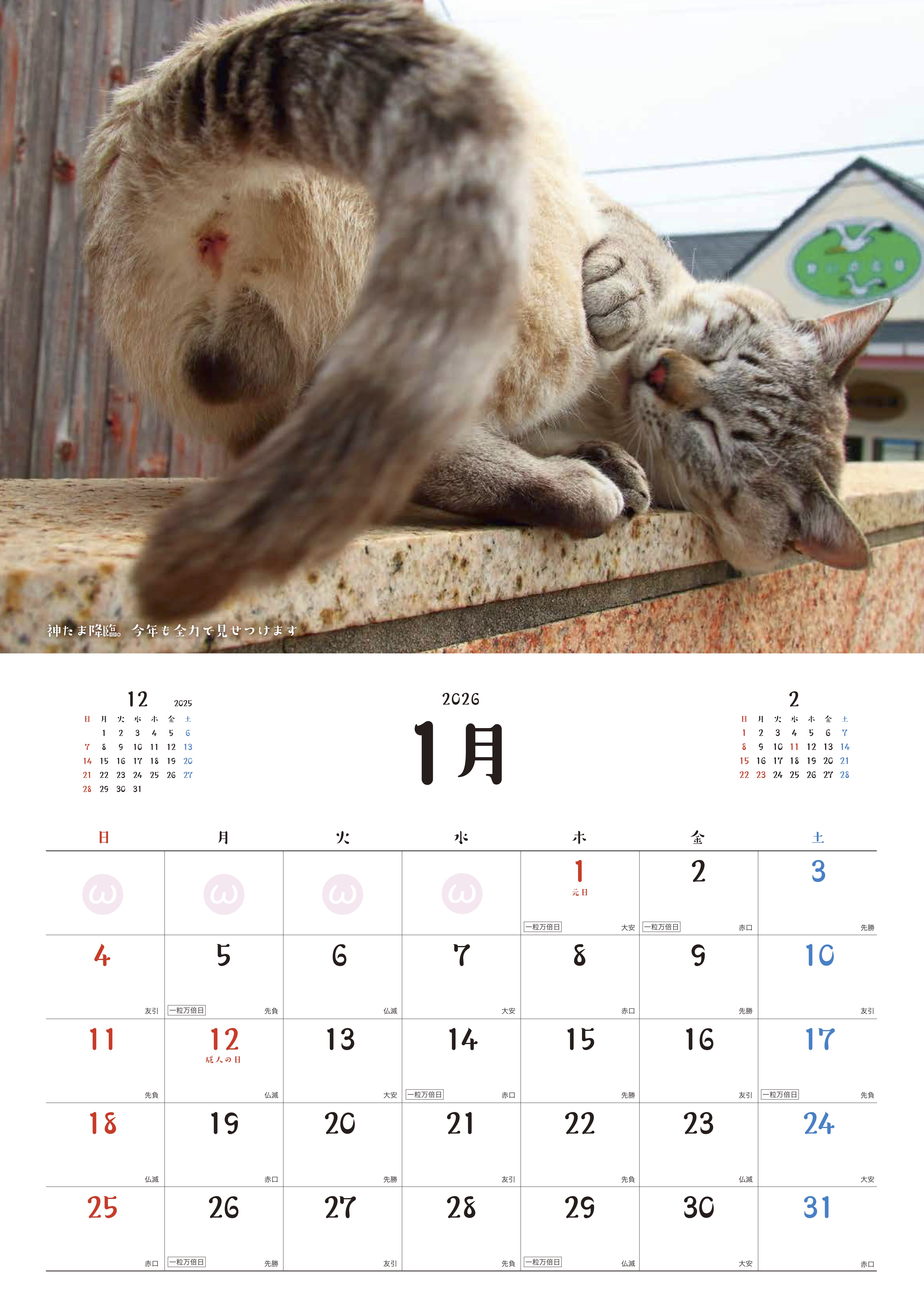 ファンミティ[fanmity]｜Fan+Community｜ファンを繋ぐプラットフォーム。