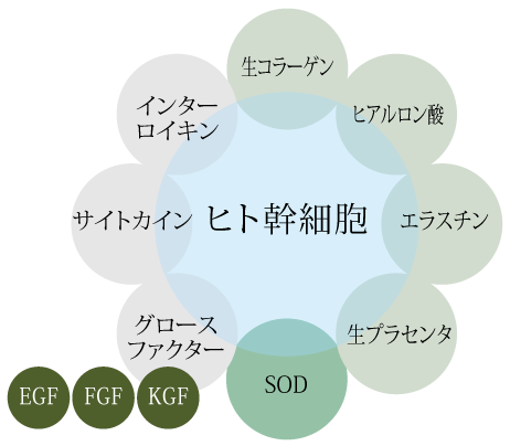 ファシオール / ◇アバニカル パーフェクトエッセンス 30ml