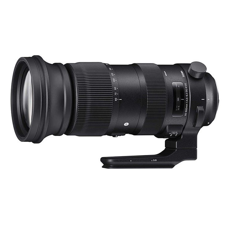レンタル] シグマ 60-600mm F4.5-6.3 DG OS HSM Sports 望遠ズーム