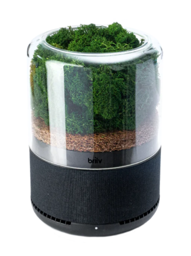 レンタル] FIVE Create Briiv(ブリーヴ) 空気清浄機 - Rentio[レンティオ]