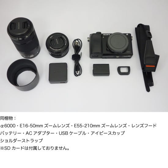 レンタル] ソニー α6000 ダブルズームレンズキット ミラーレス一眼