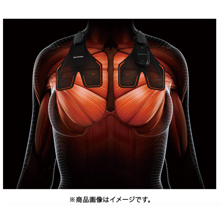 レンタル] MTG SIXPAD シックスパッド Chest Fit チェストフィット SE