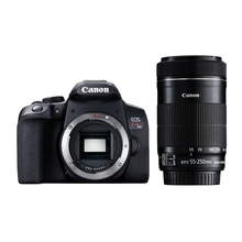 レンタル] CANON EOS Kiss X10とシグマの超望遠ズームレンズ(150-600mm