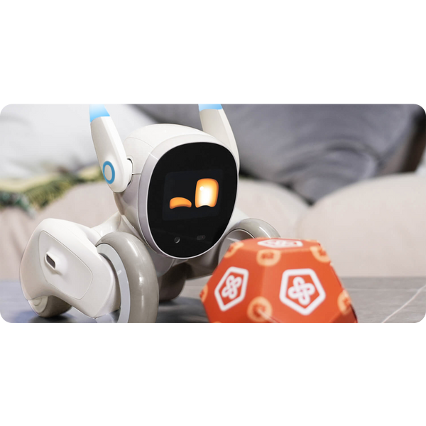 レンタル] Loona Japan Loona Blue ペットロボット - Rentio[レンティオ]