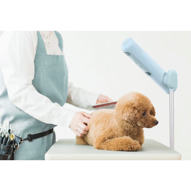 レンタル] BISARA(ビサラ) with ハンズフリースタンドヘアドライヤー