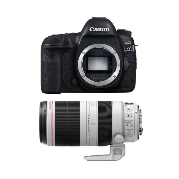 ziwszsibeo9croey970n1vxfljy0?