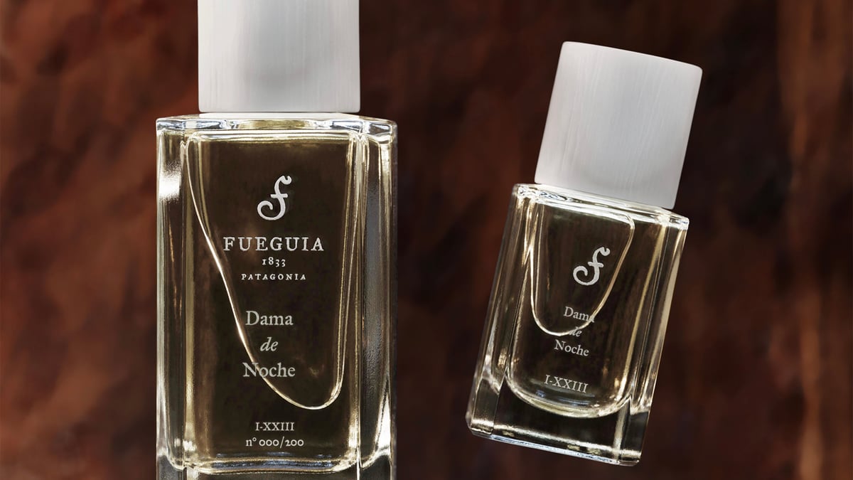 fueguia1833-dama-de-noche-