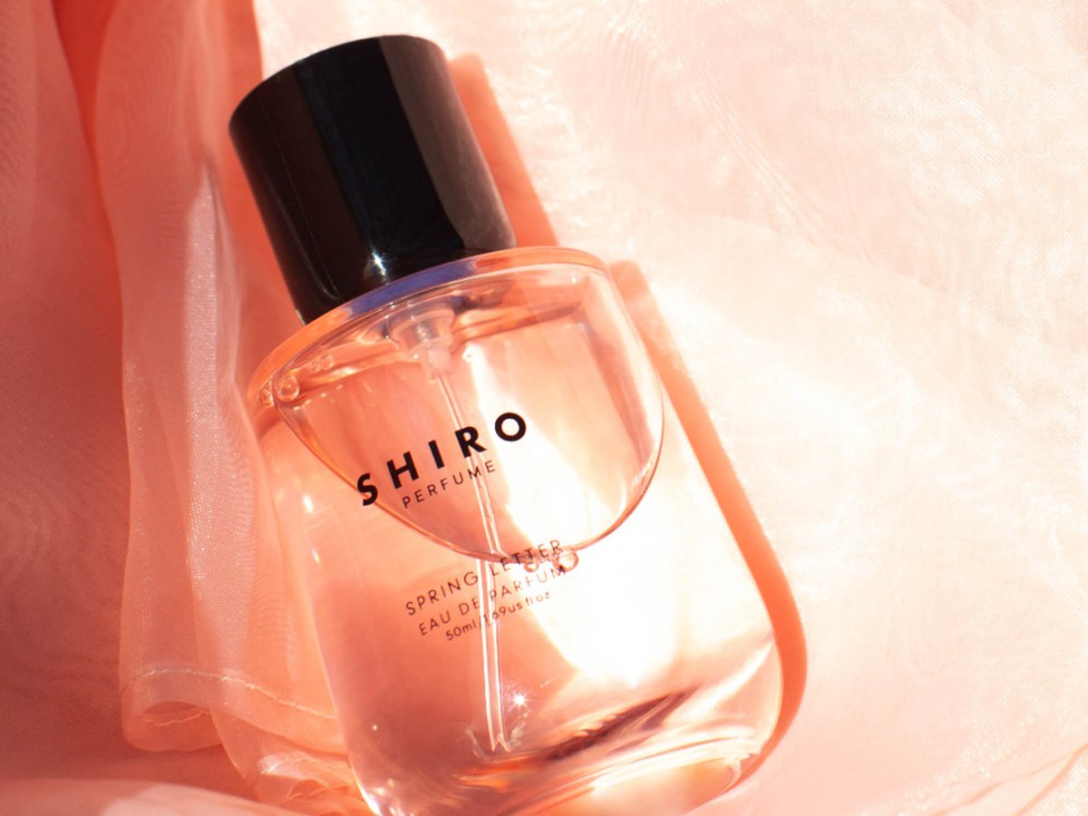 shiro-spring-letter20240222-4-