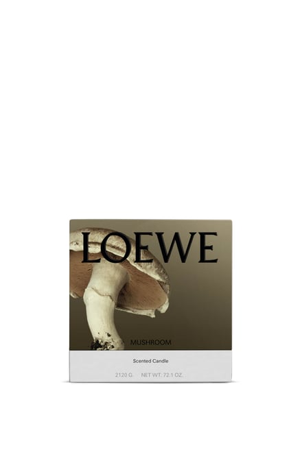 ロエベ」ホーム センツの新作はマッシュルームとヘーゼルナッツの香り