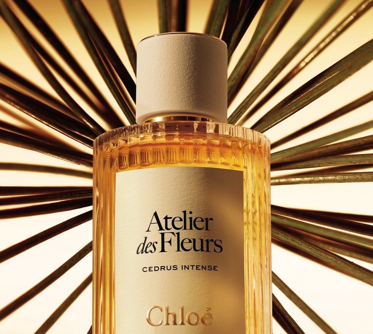 クロエ」アイコニックなフレグランスの象徴的なシダーの香りが新たな次元へ