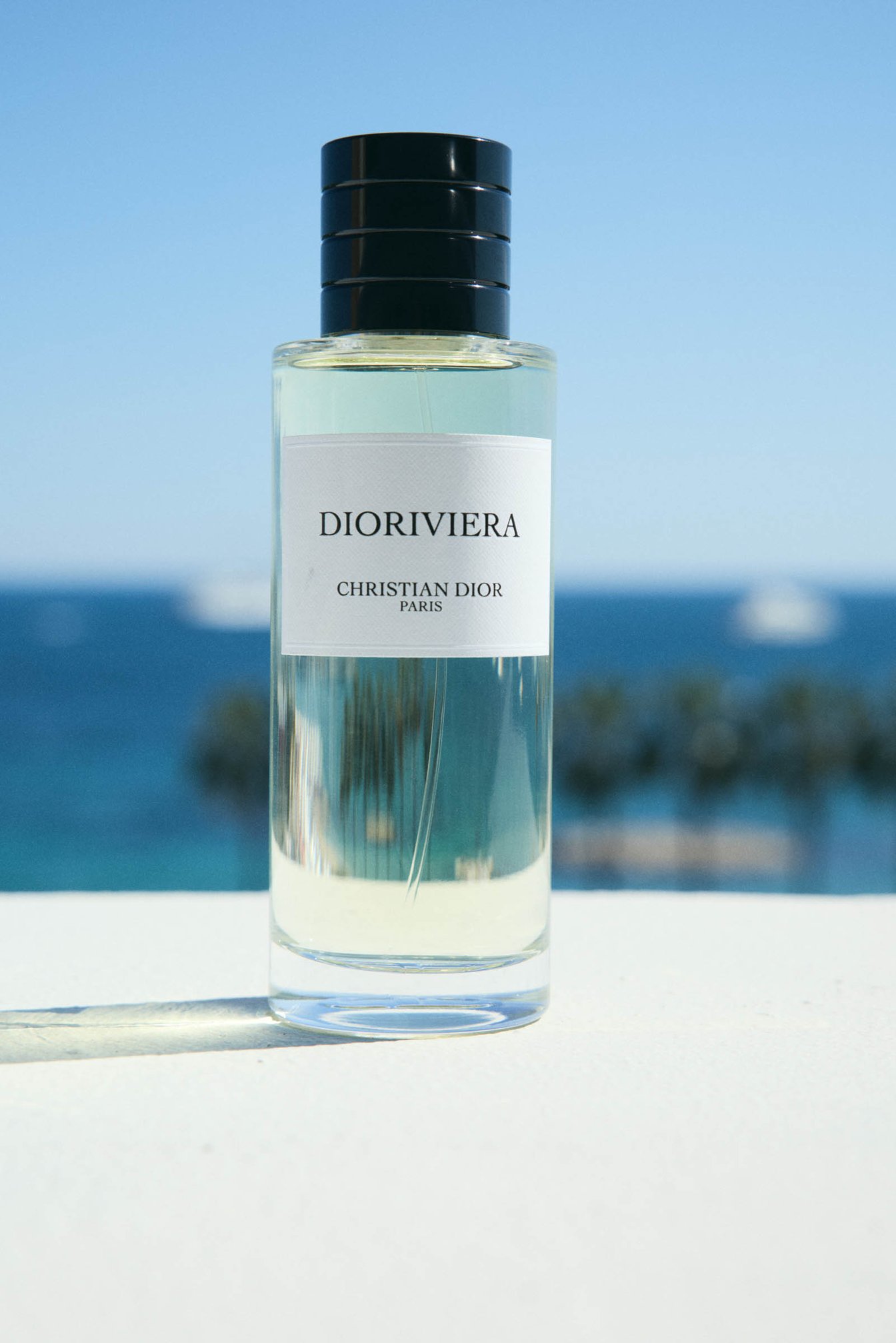 吉沢亮がカンヌでまとう ディオール「ディオリビエラ」と「テ カシミア