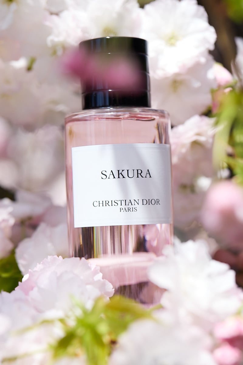 Cocomi、春の京都でメゾン クリスチャン ディオールが奏でる詩的な