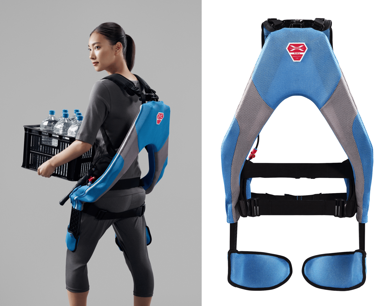 イノフィス×日本シグマックス、腰をサポートし負担を和らげる