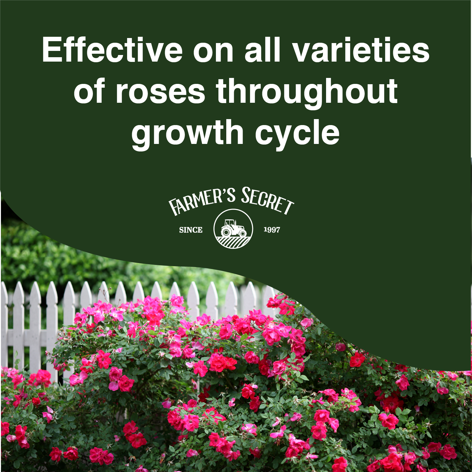 Rose Booster – Farmer's Secret