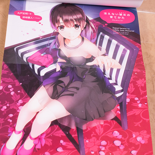 レビュー 「冴えない彼女の育てかた Memorial」限定版付属