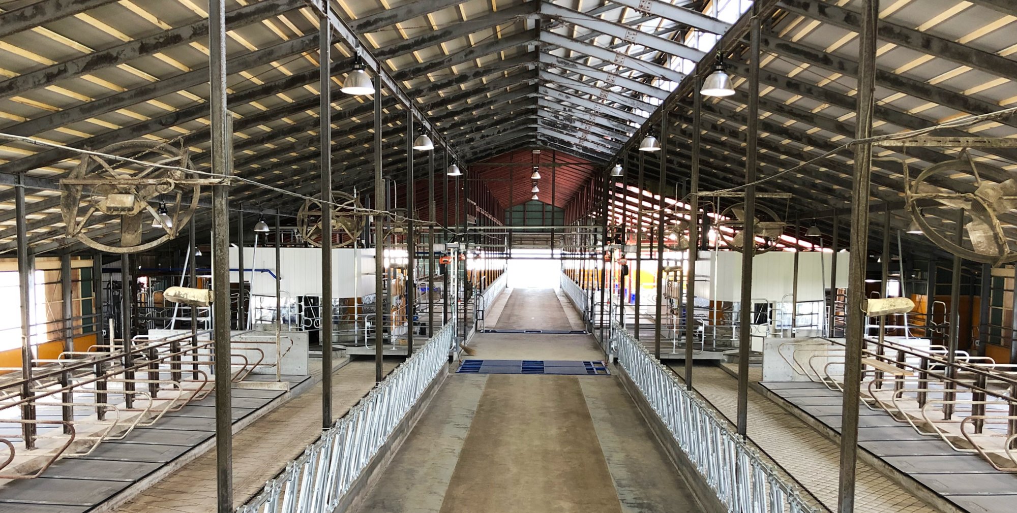 メル【業務用】疾風プラス はやて｜農業・畜舎・工場向け メル【業務用