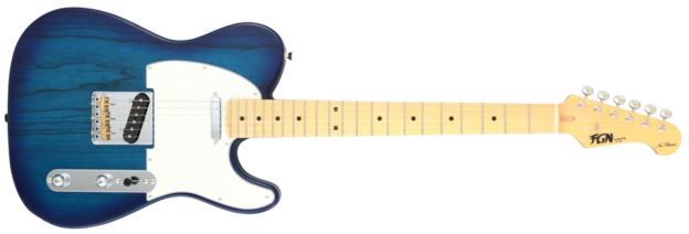 Neo Classic TE / FGN Guitars
