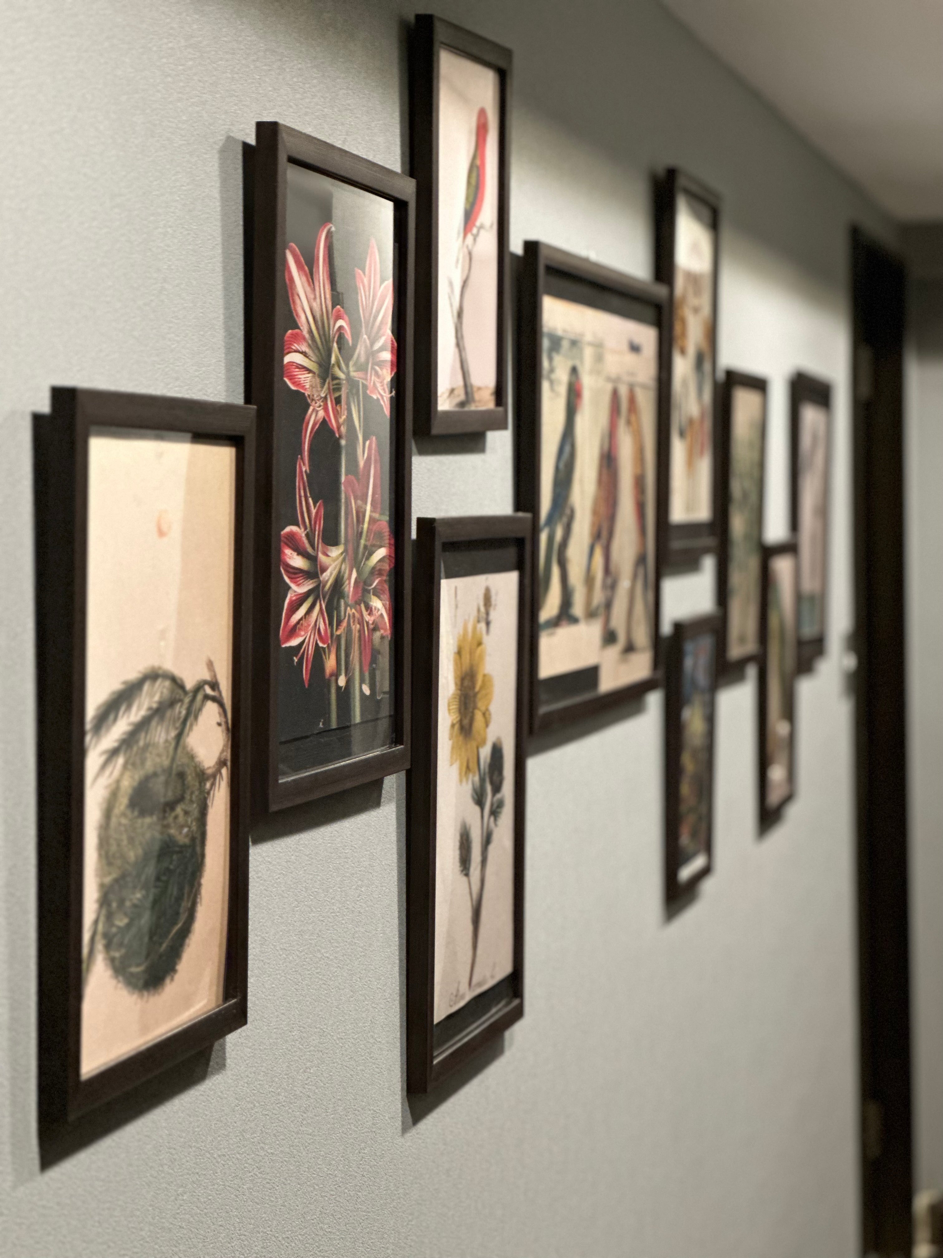 お部屋を飾る vo.1 「ジョン・デリアン ピクチャーブック」 – FEELSEEN