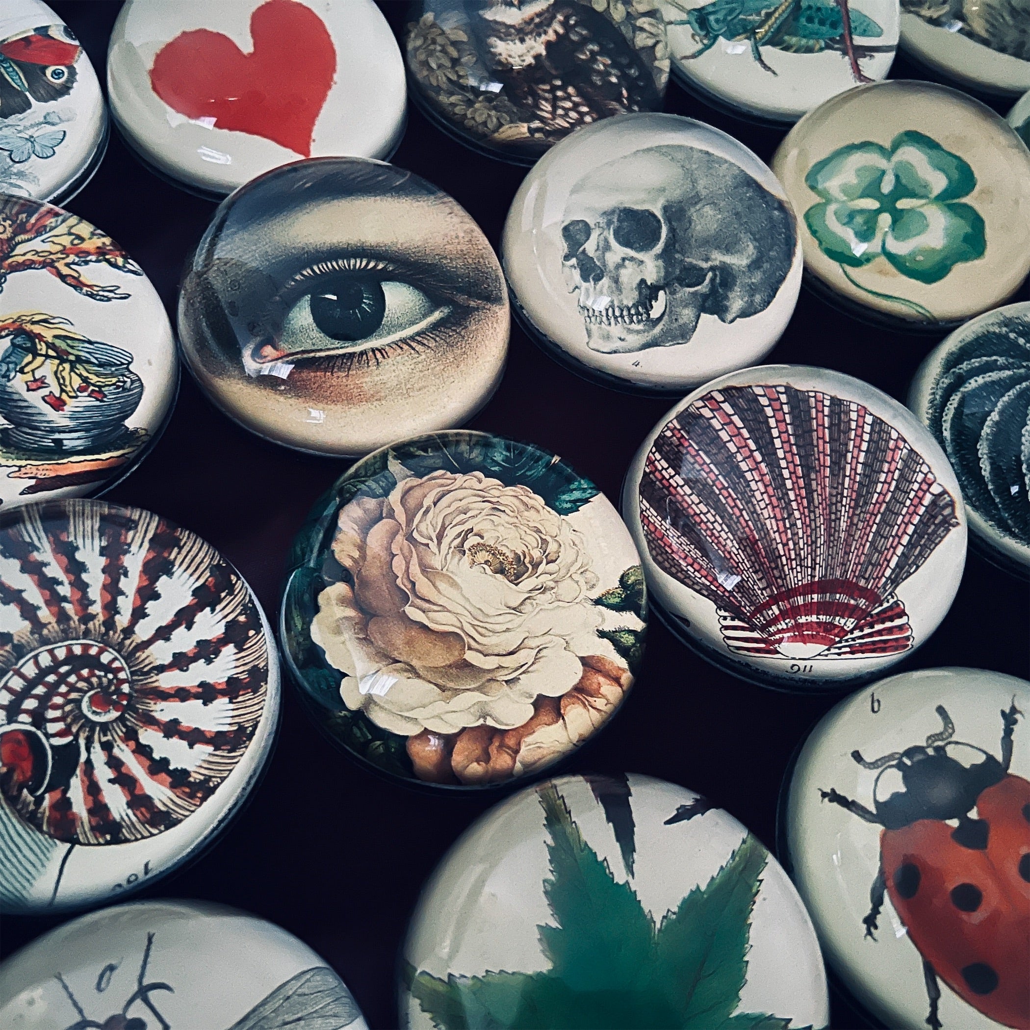 ジョンデリアンアンティークペーパーコレクション① ジョンデリアン