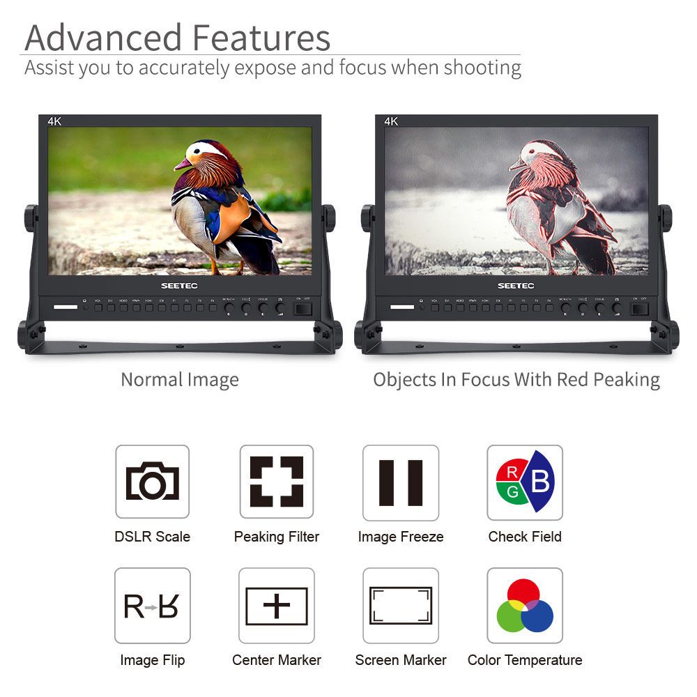 SEETEC P133-9HSD 13.3 インチ ブロードキャスト ディレクター