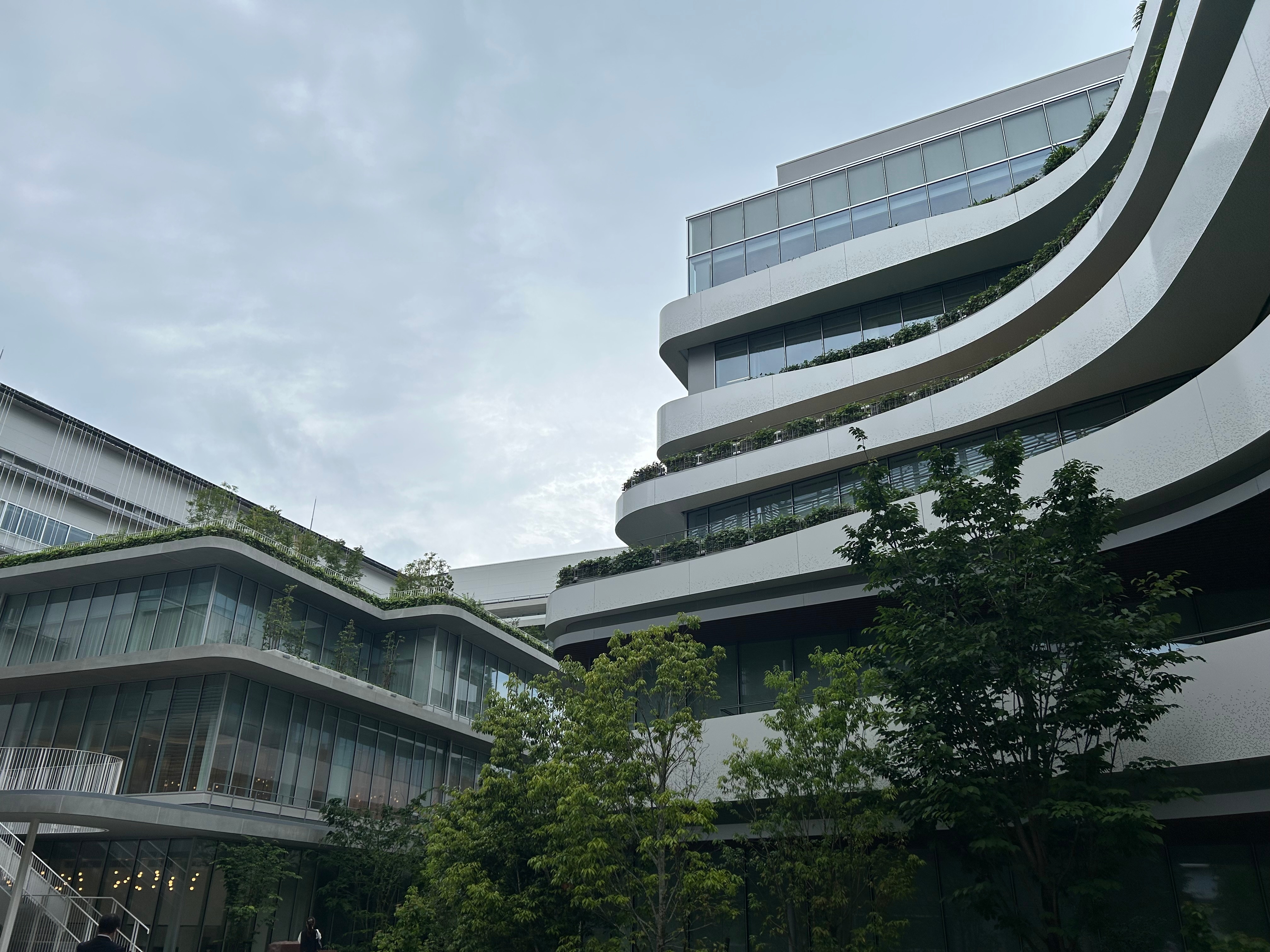 北里大学医学部の2024年度入試結果と2025年度入試変更点 | 医歯専門