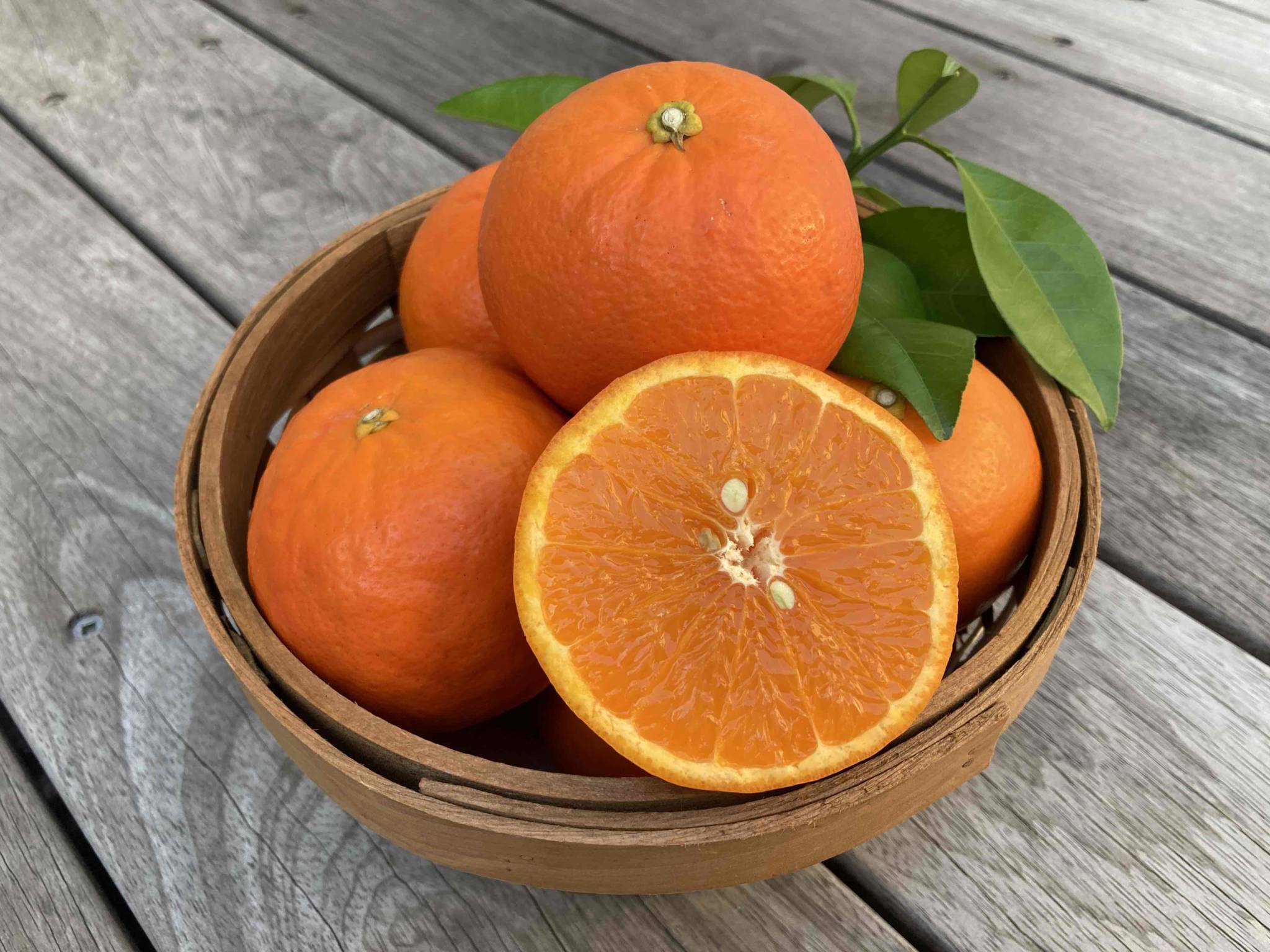 神座みかん｜エフエフランドアグリ静岡｜神座みかんの生産販売