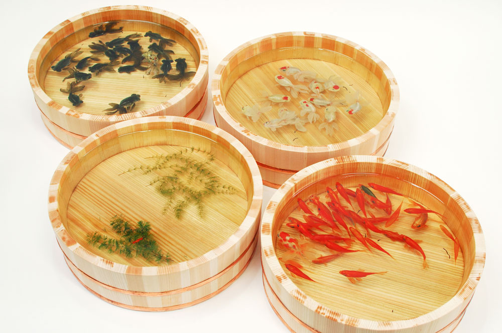 金魚絵師 深堀隆介さんと考える これからのアートの役割。 | FUTURE IS NOW