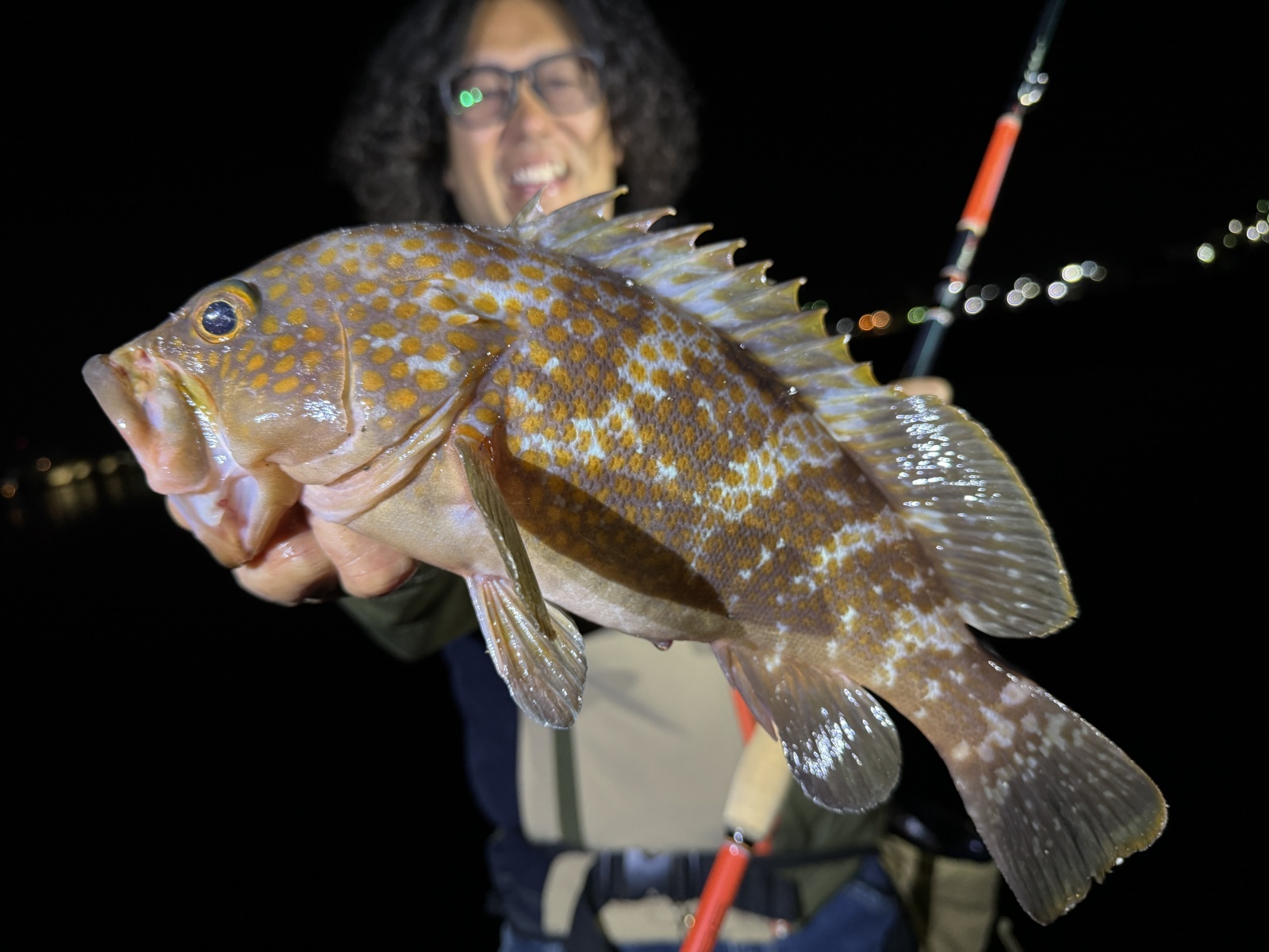 CANARIA COCO85(カナリア ココ85) - Fin‐ch