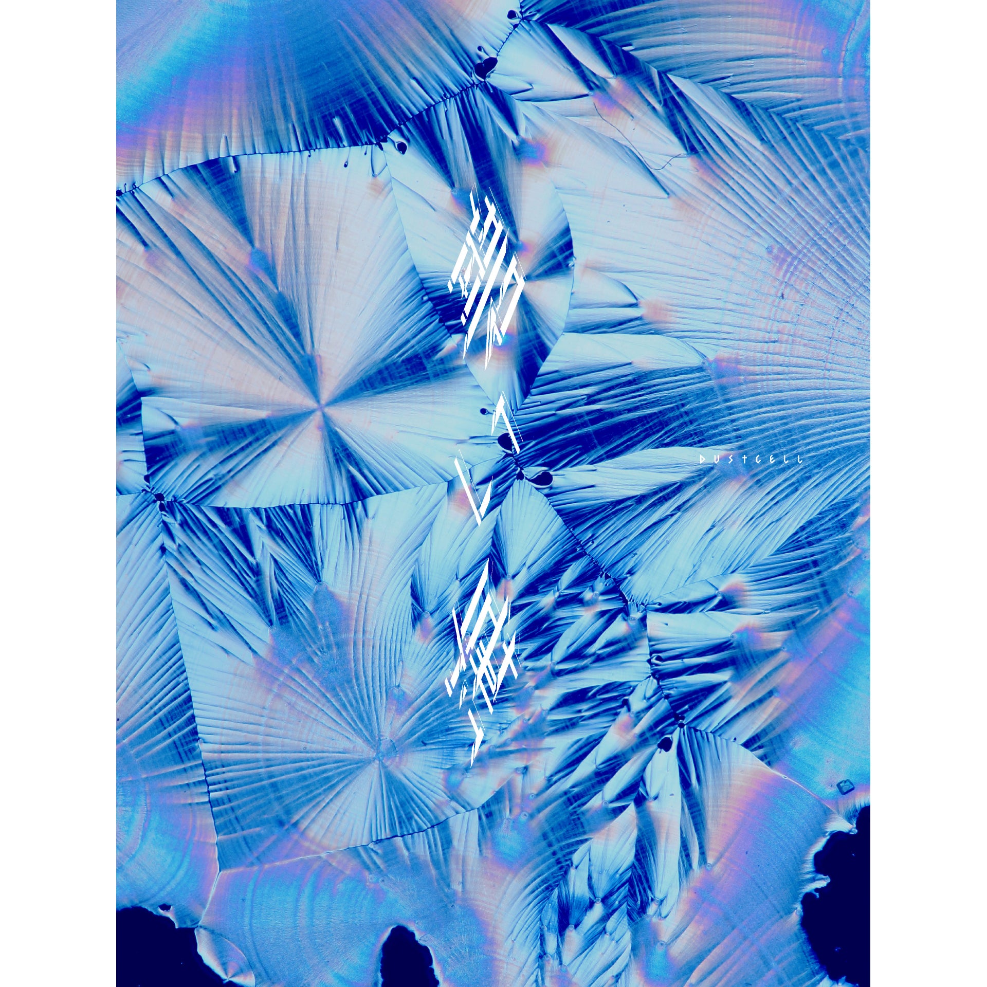 DC_aoiumi_box_shokai_1920_1920