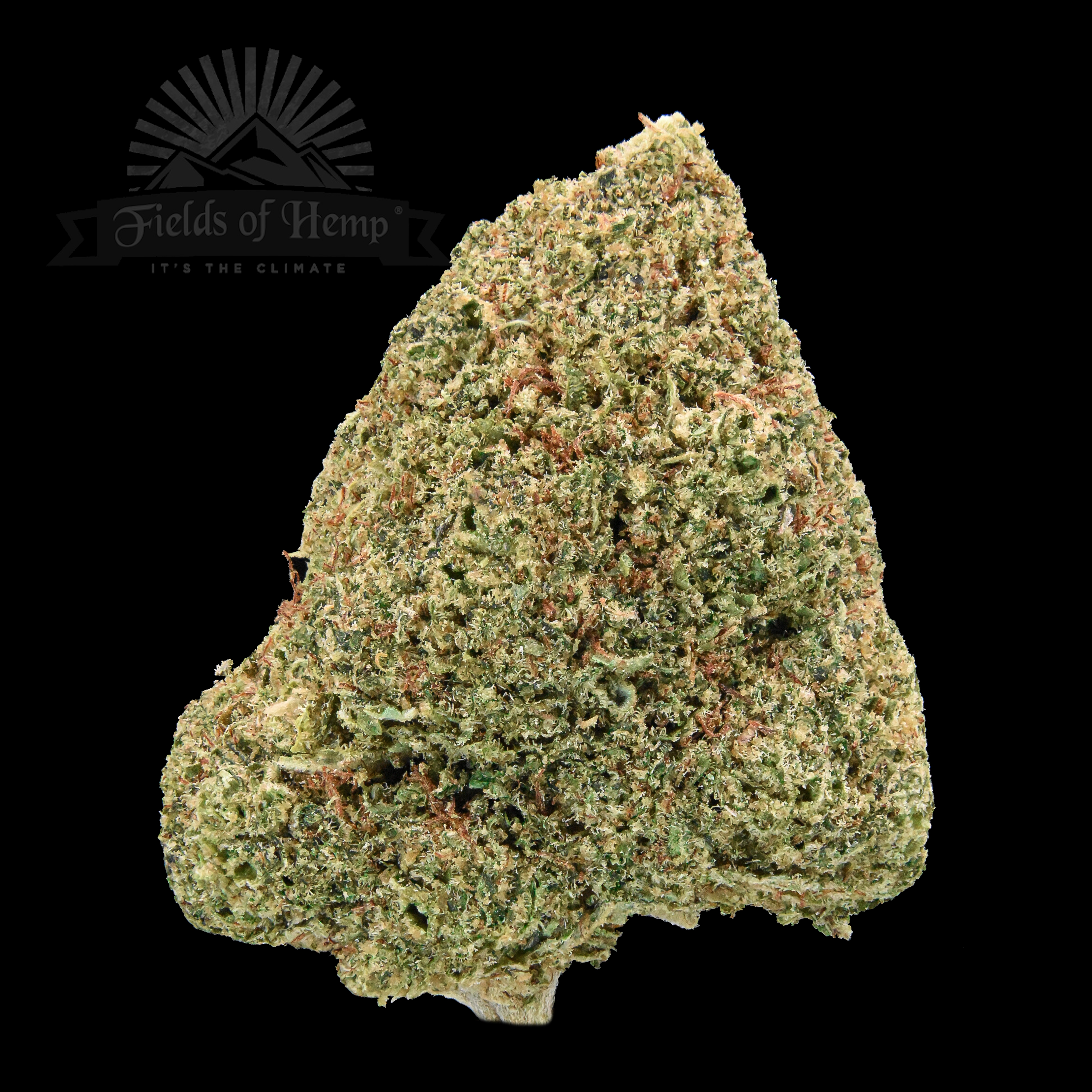 Bubba Kush NEW 2025 – Fields of Hemp