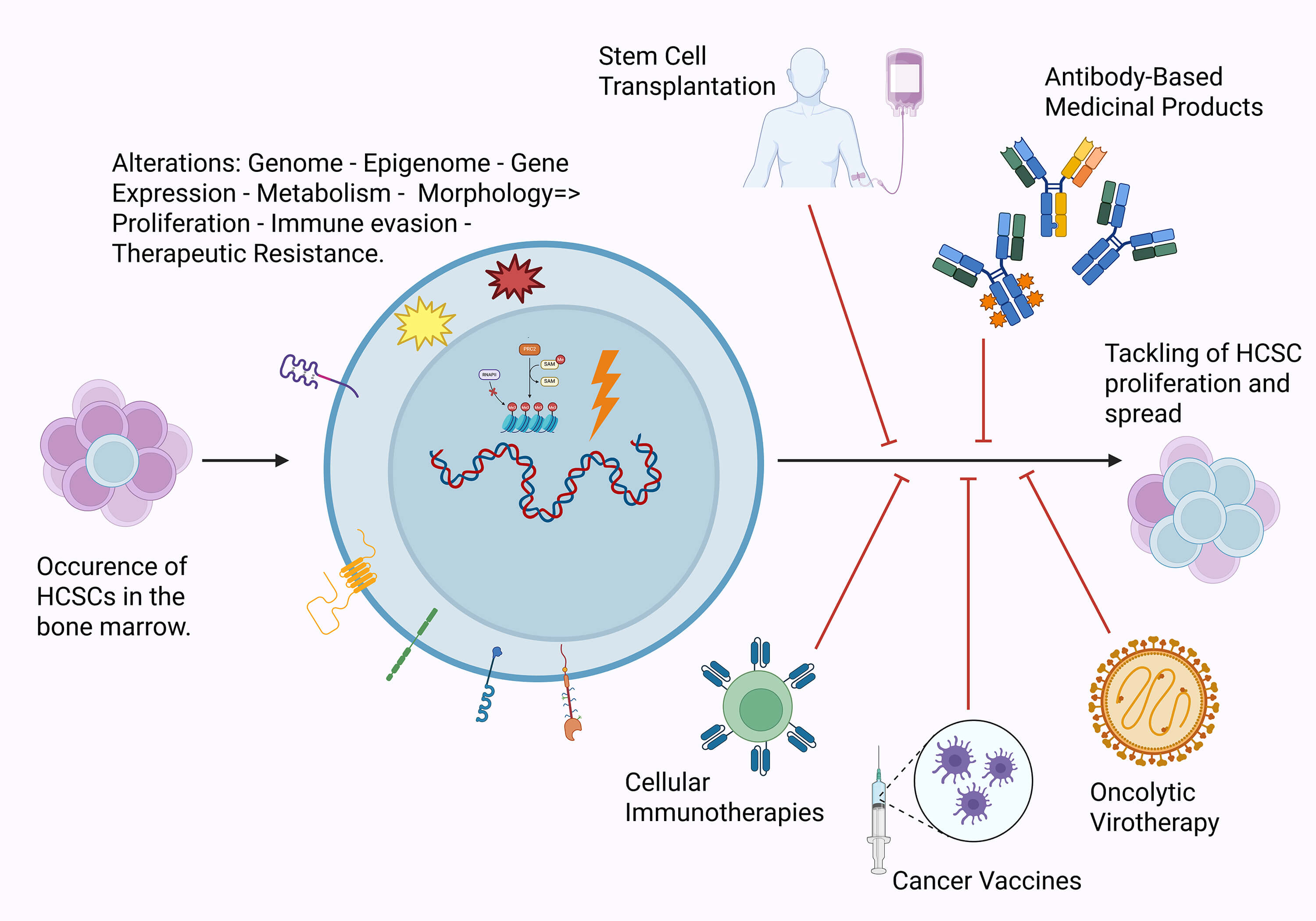 BIOCELL | Free Full-Text | Assessing the Hematological Cancer Stem